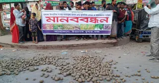 দিনাজপুরের বিরামপুরে রাস্তায় আলু ফেলে কৃষকের প্রতিবাদ